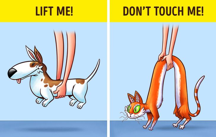 588661523ab27af4350f82aef9