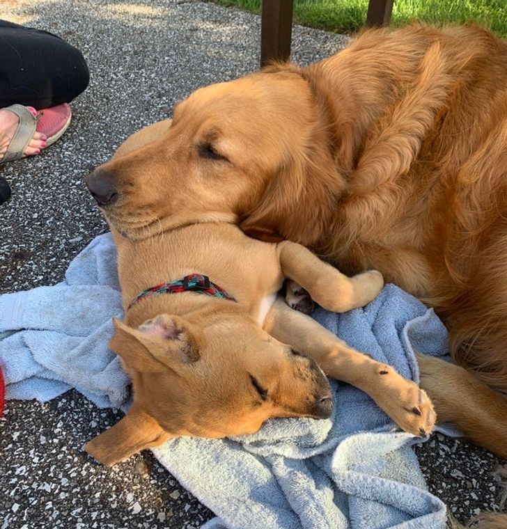 58915051c9bd39ac31d35be965