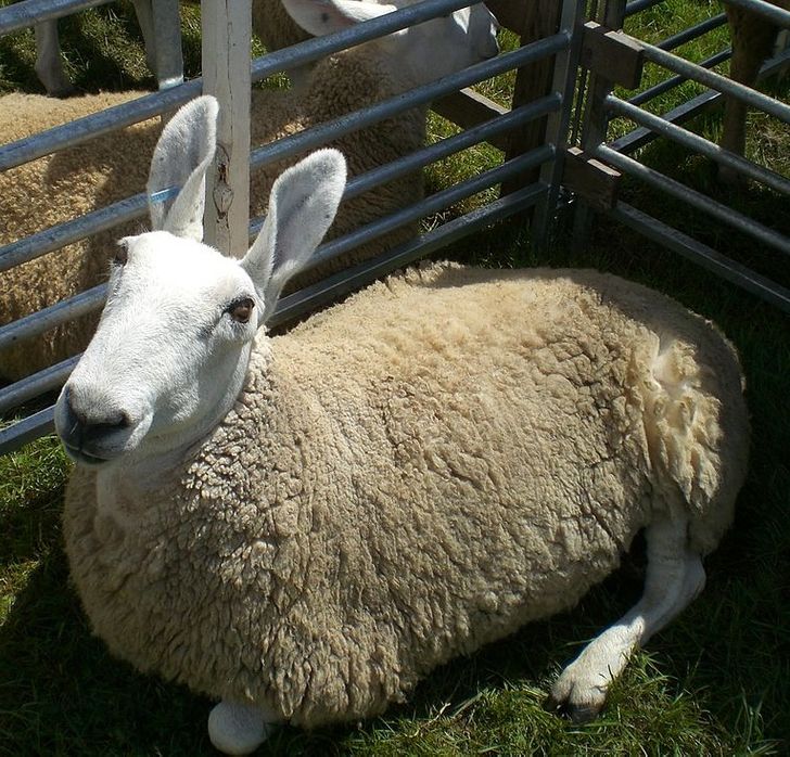 58a33352d19a555b23ba593f65