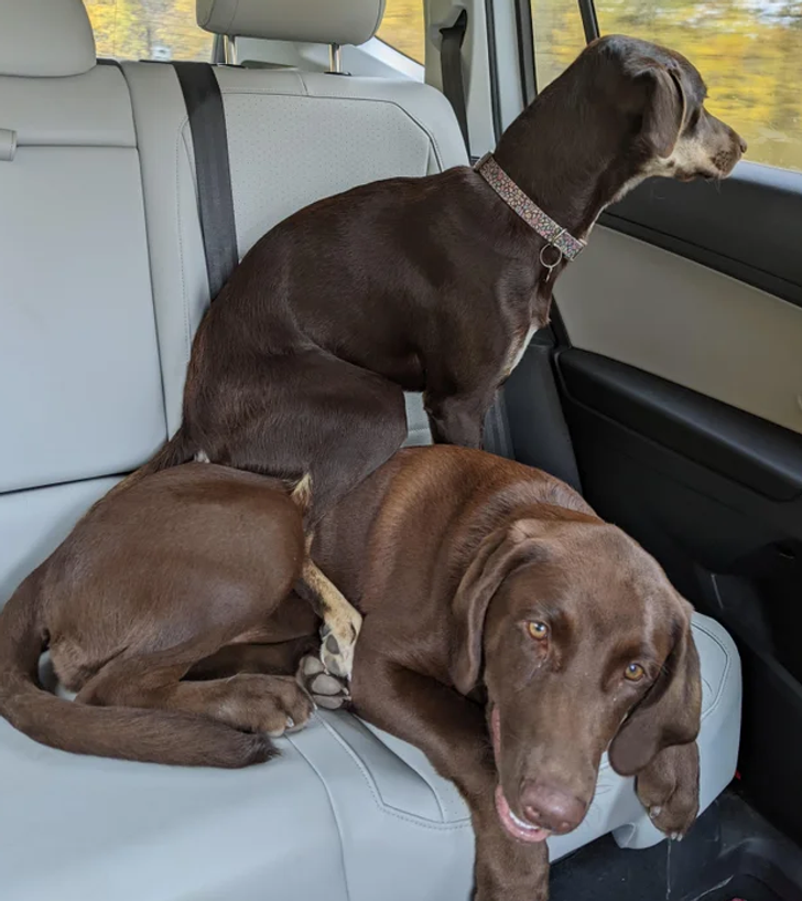 58a75e549898be260b42b78433 58a75e549898be260b42b78433