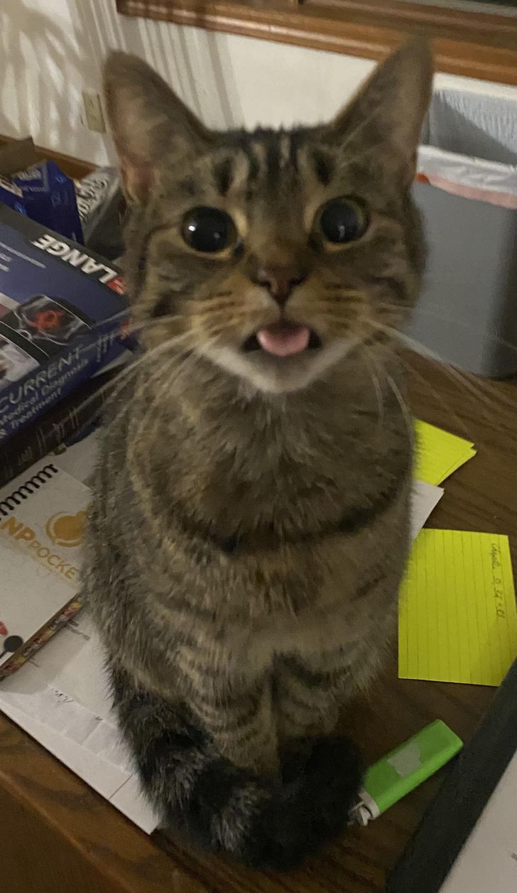 58aa9c59809aef93cddfd3356d