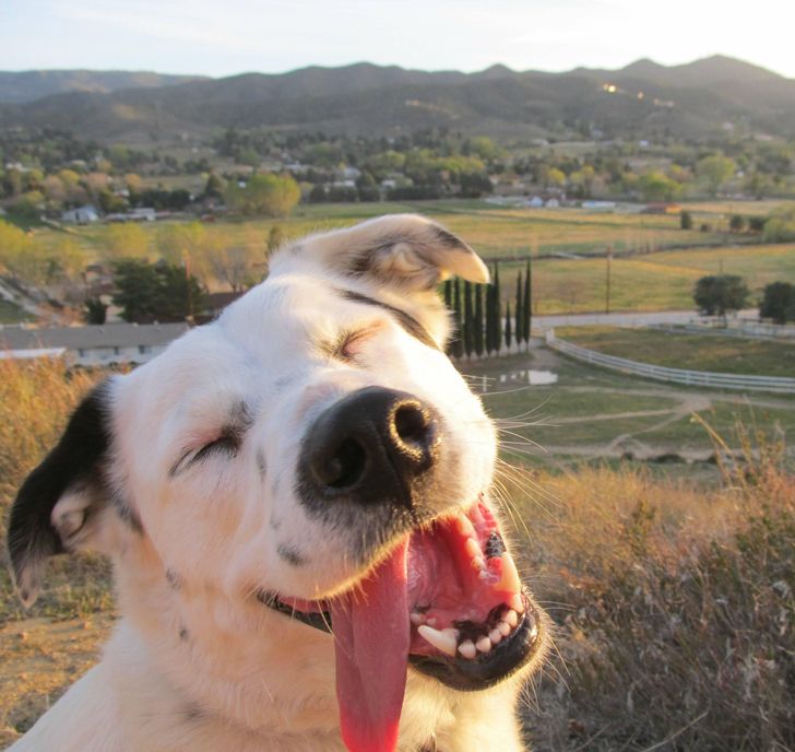 58abde521f94be2c2044c9cb2a