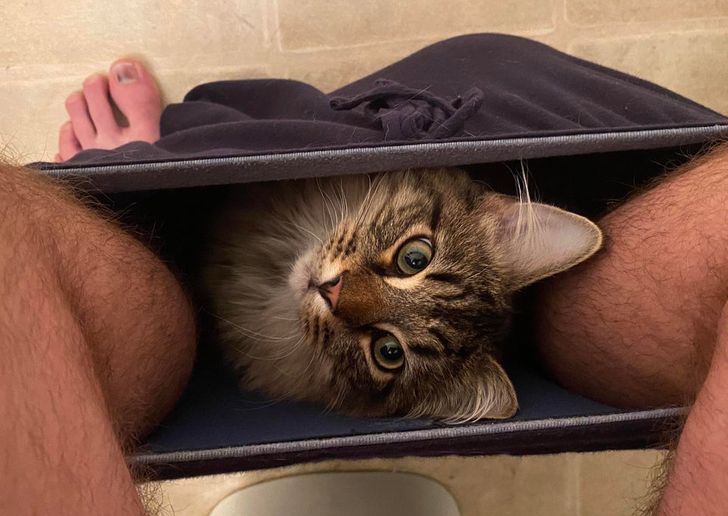 58b838537f9812621f5778325c