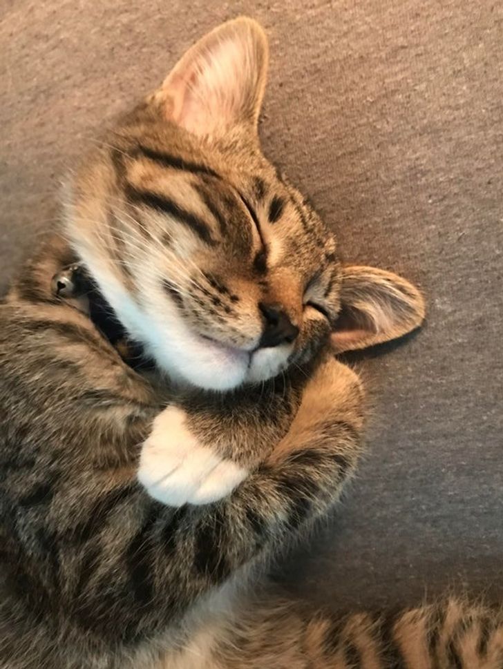 58be12546e8ea4834efc0cdb7a