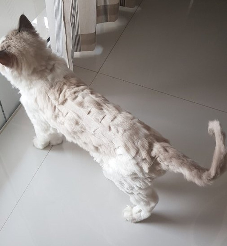 58c5e55fcc880b0ccce8565910