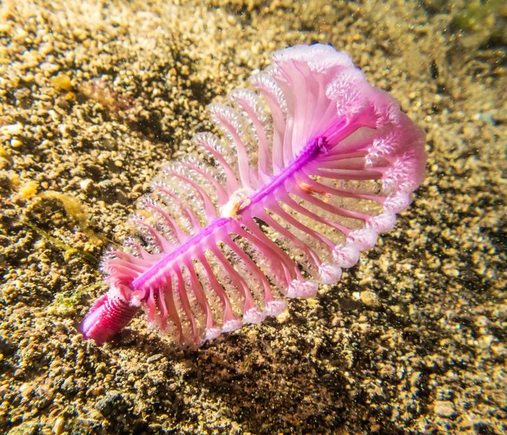 58cbe5534c90cf14dfd733b020