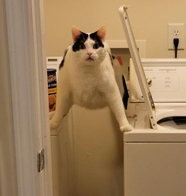 58cc7657729f67e9cd67e55a38