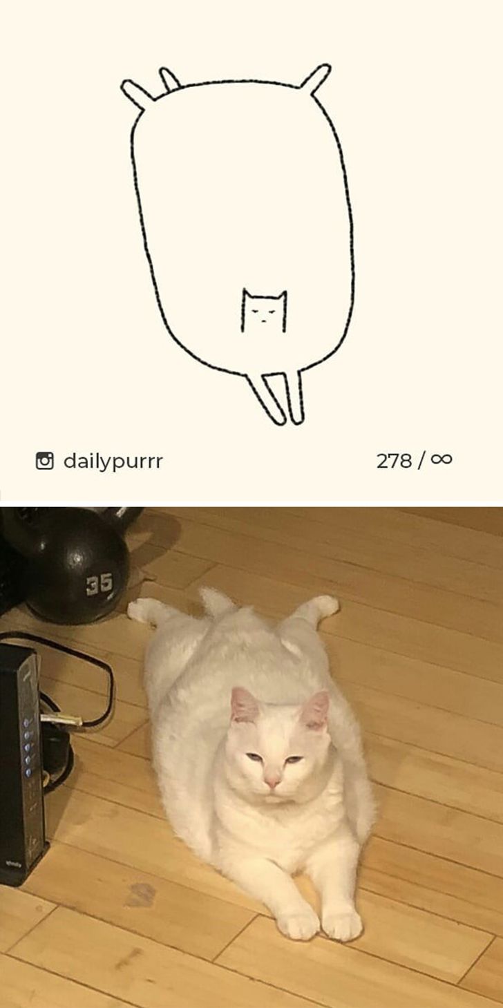 58ce6e5dbe9d517ad7130b9d74