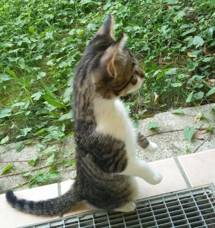 58ce715520ba116ea98ba43416