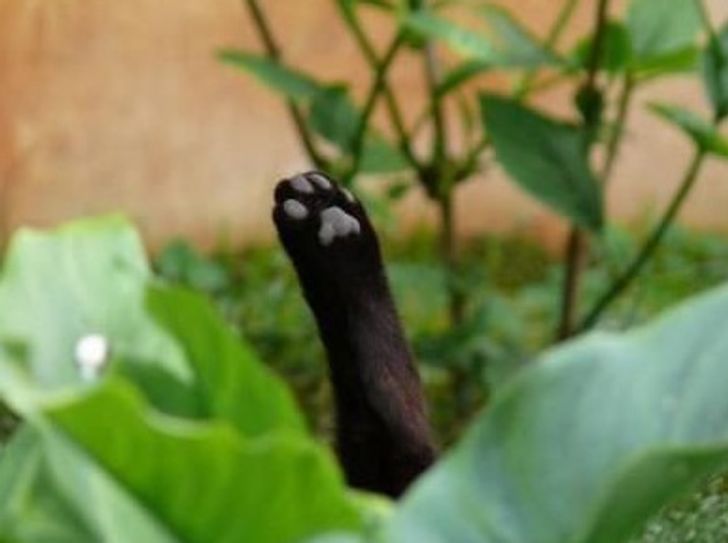 58d3965333bc5894bb78770cf3