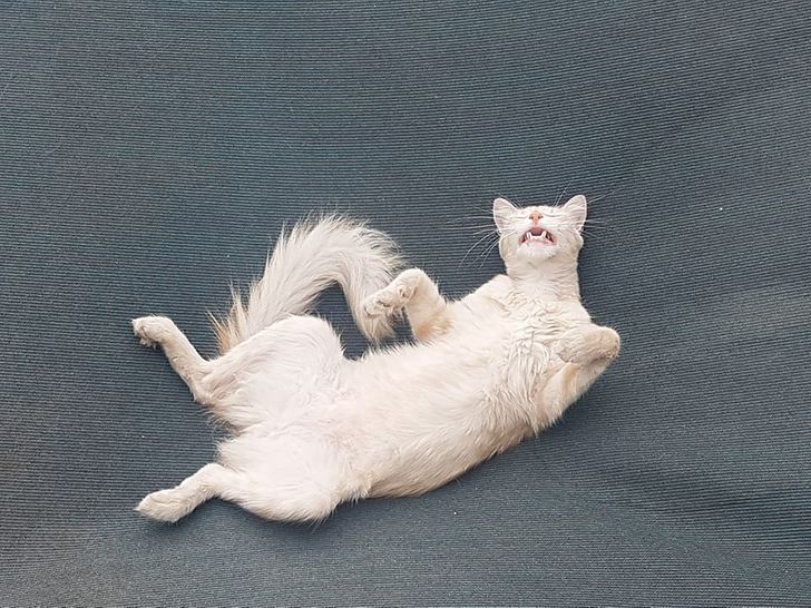 58d4ac5dfb9450e5cfdf077c5c