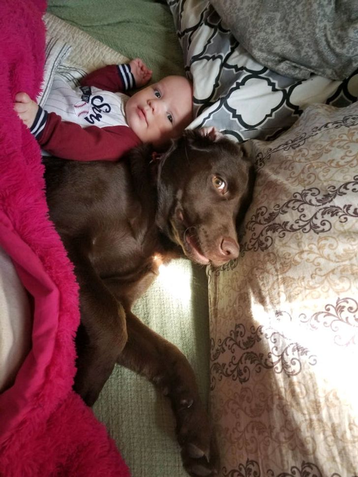 58d68456c491b47edb035400b8