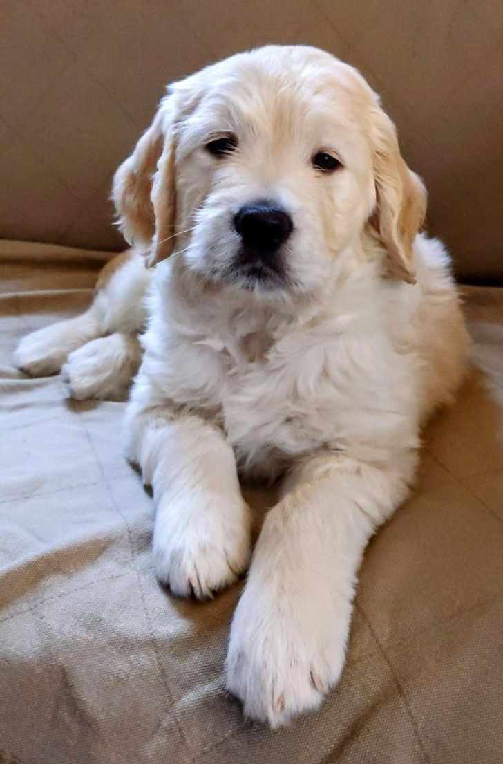 58e97a5972ba28159bfd0056df