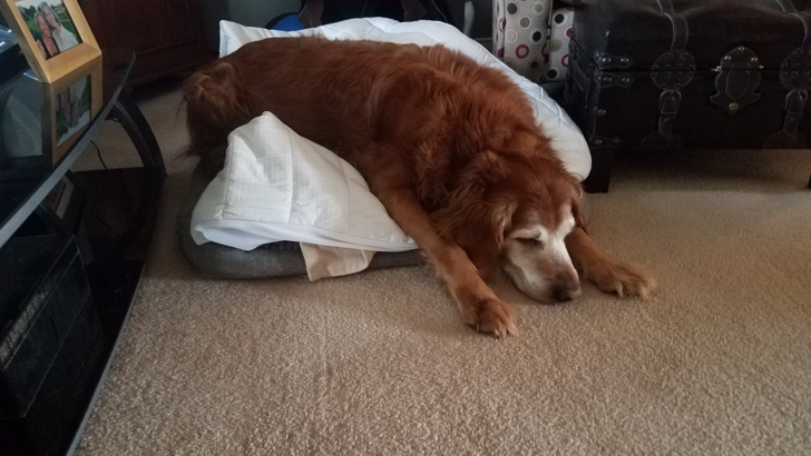 58f1c552d784b5348e85f2cc7a