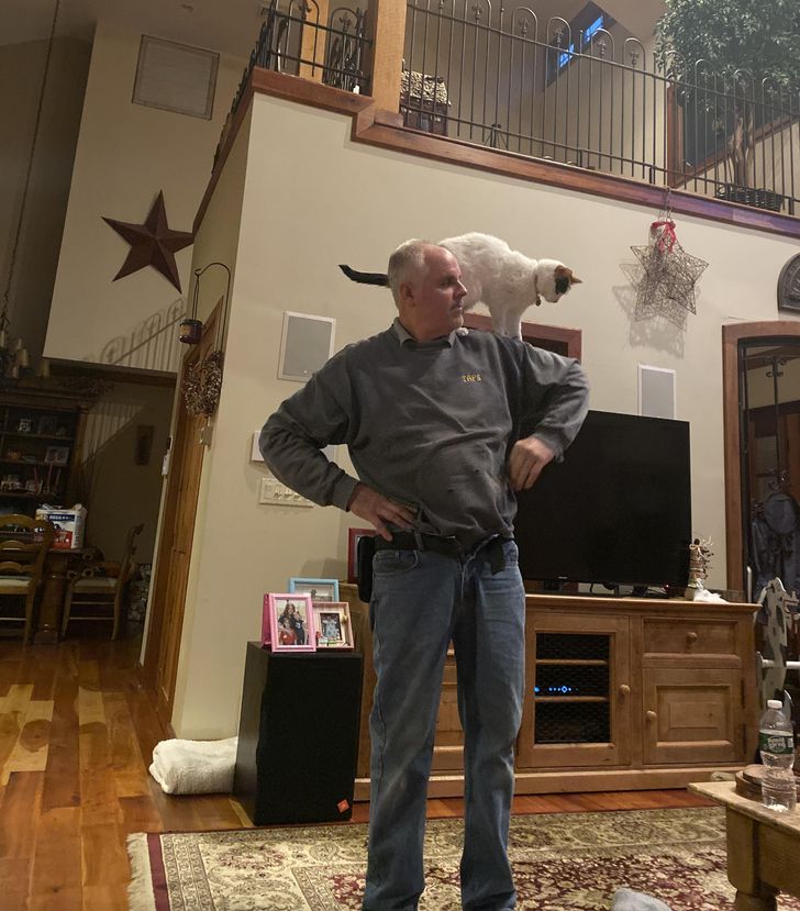 58fa6b51678a42ce81ec633978