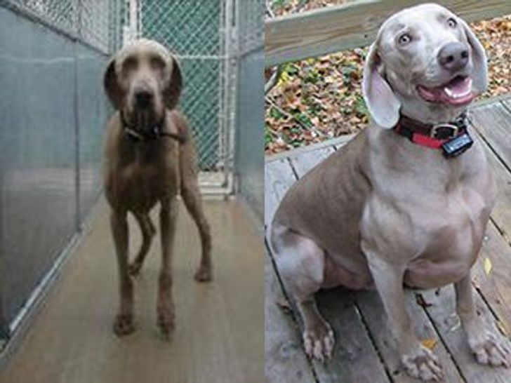 5900355d5ebabf55bf502b661c