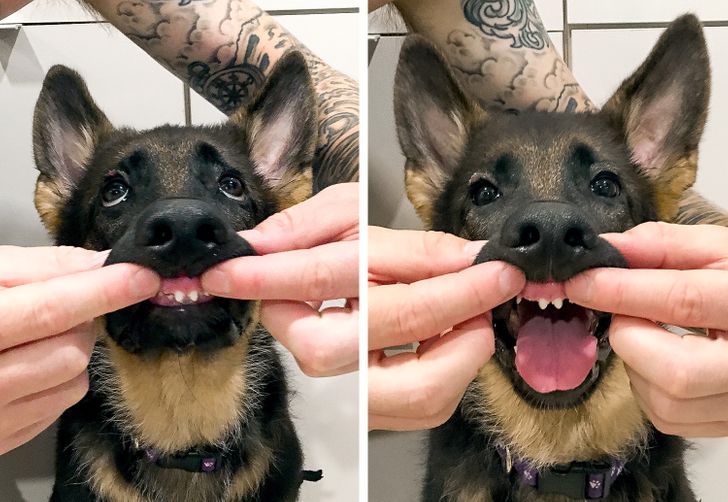 59075d54c0848881bd8a12da0a