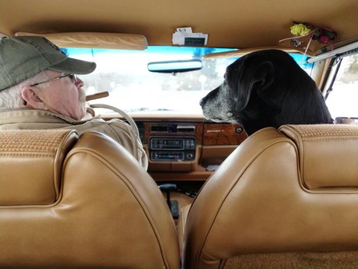 590cb55b61b66e6e99cde42cb0