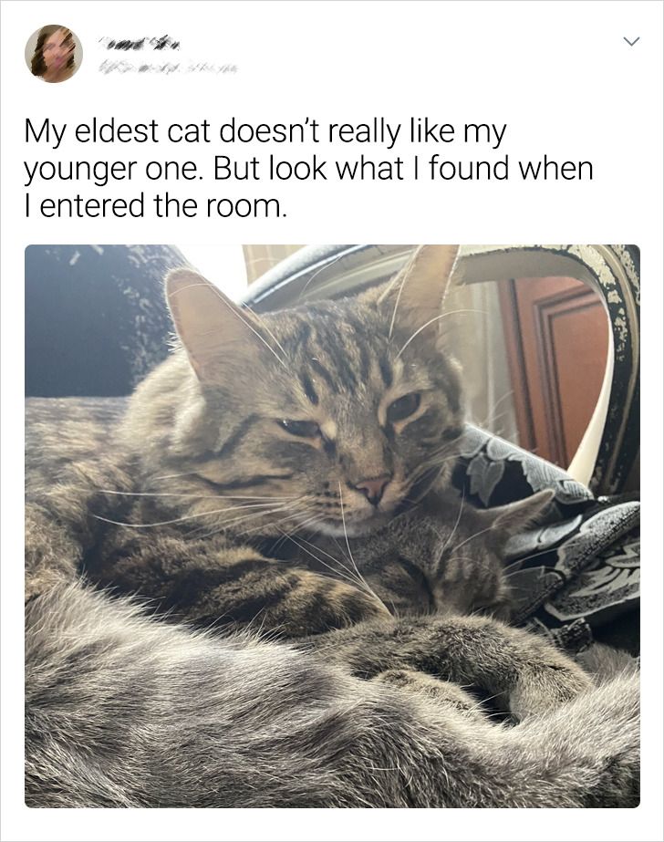 591c365fcba05d30596e012246