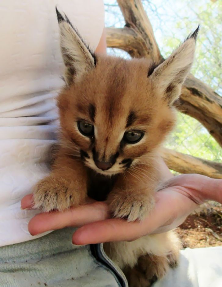 5923df50418d4d1b4bda07db55