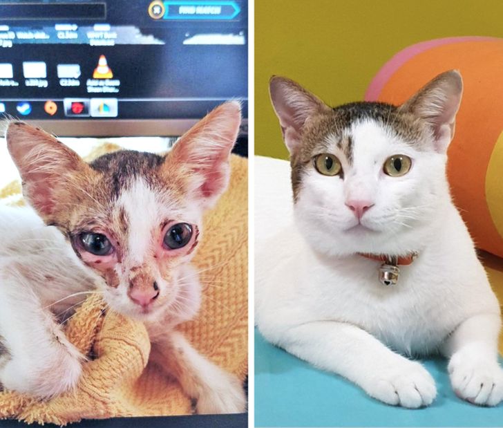 5929c65c1ab56537cf11655b7c