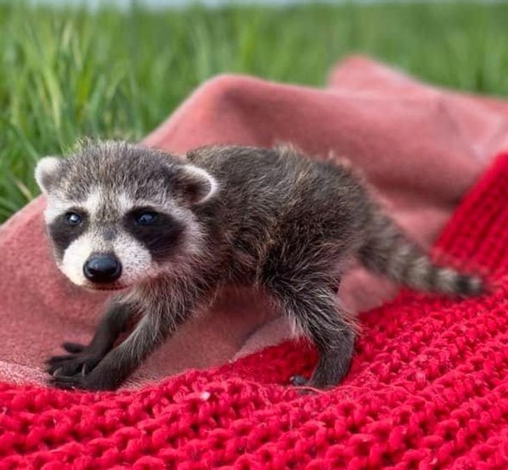 592fa15031bfb2349928ba97b3