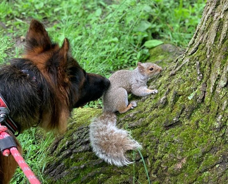 592fa2544bb21782d6e225ba78