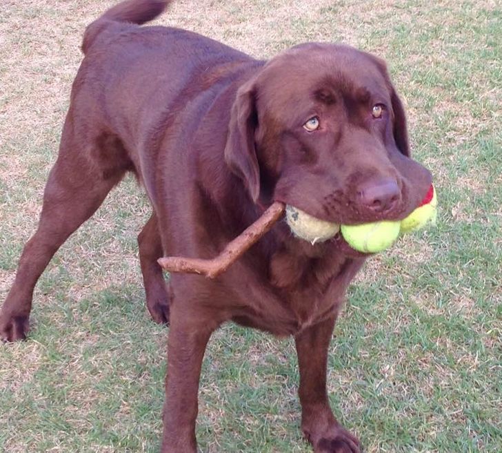 59317451068010f5dec7a70271