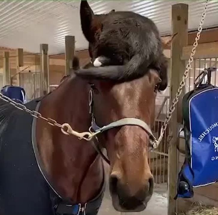 5933c855a493057dfbcb93f3f5