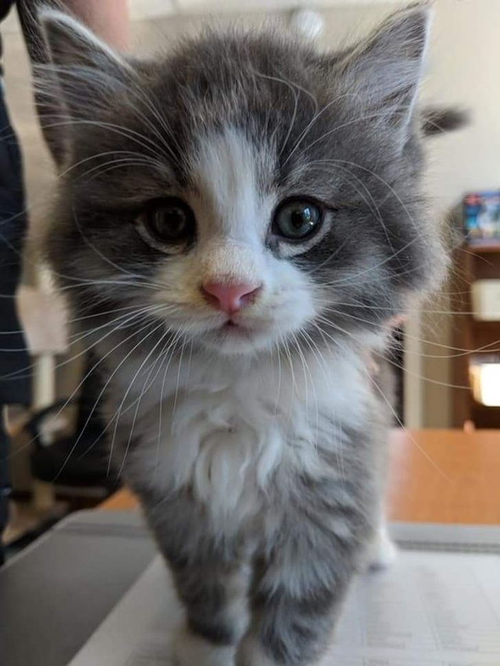 5936ca54858dfe468a63622d6b