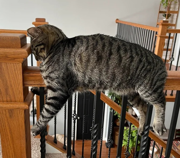 5938d85551be7fbf925cb55994