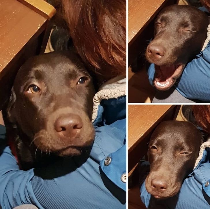 593afe5b259ad52bce054a7d4b