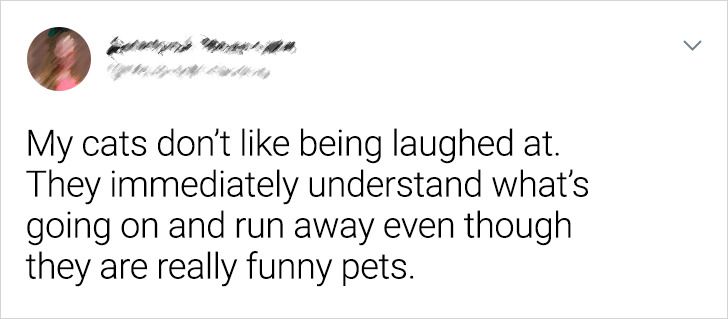 593c75552f8456272216d4d055