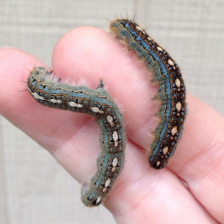 593d155b48b2d7e0141f77143c