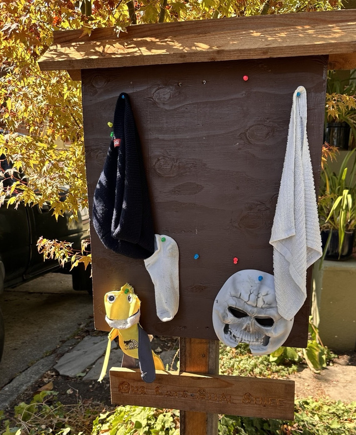 5943775aa8aa2b5d61a8a566cd