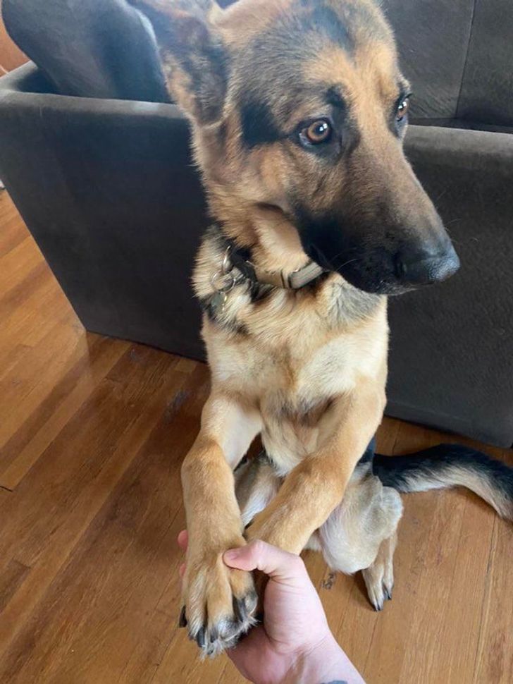 5947545ce084fcd2807315b651