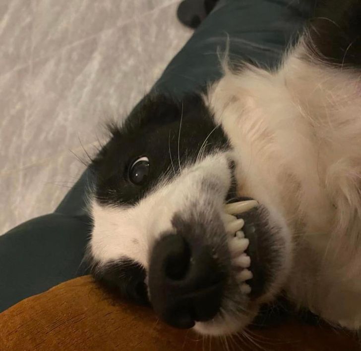 595985575ba6b5cdd34f85b5be