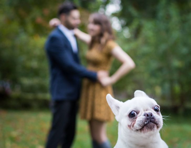 595d1252d99b47d895fae25c0f