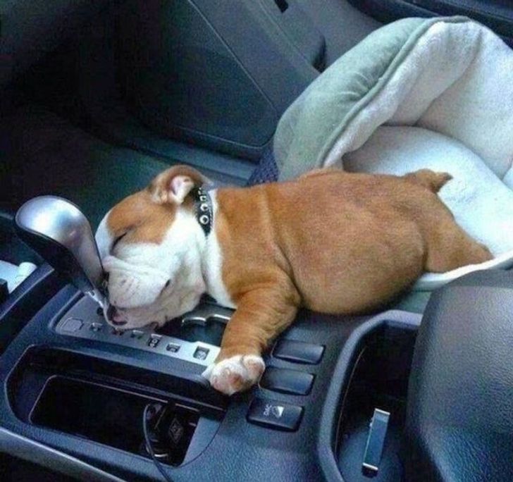 595e5a5a708ce86eefbffc2106