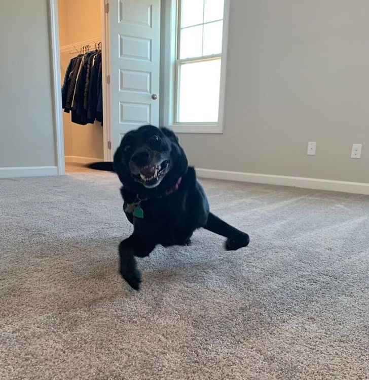 5964085d17b813abfe5166439a