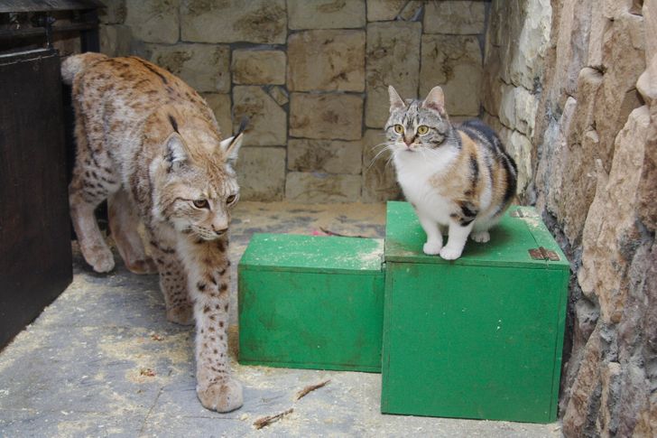 596c2c57658f3fd735f94b89bf