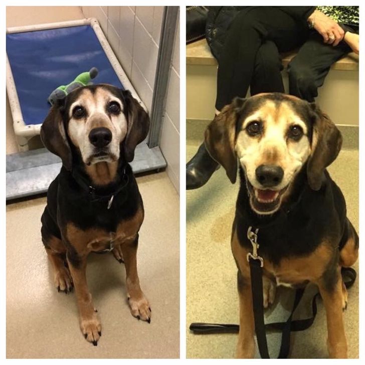 5970aa56b1809079550a0c5aa5