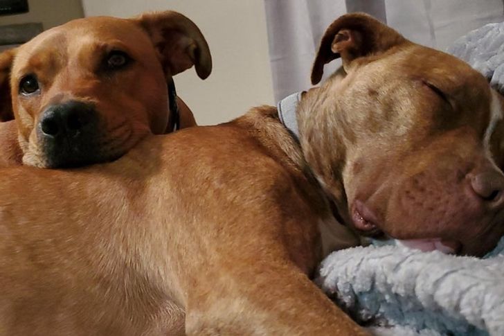 59717b54a4bad88bc4e2142c03