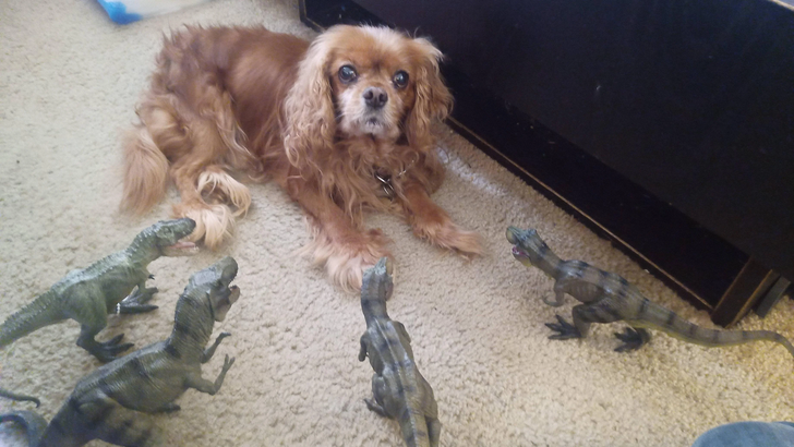 5977a350fdb8fb8b562d1b43a3