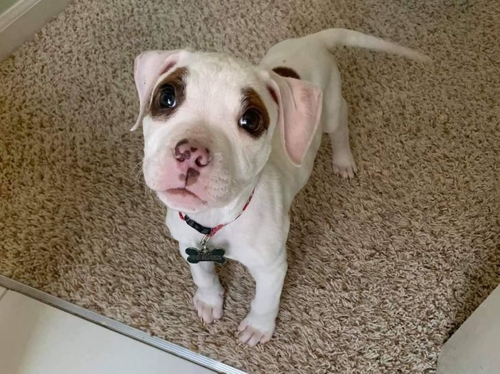 597c4e52e29c05623c7556acf8