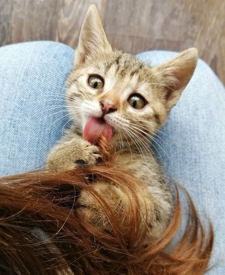 597f6a5d60bdabe5f3c834c6c1