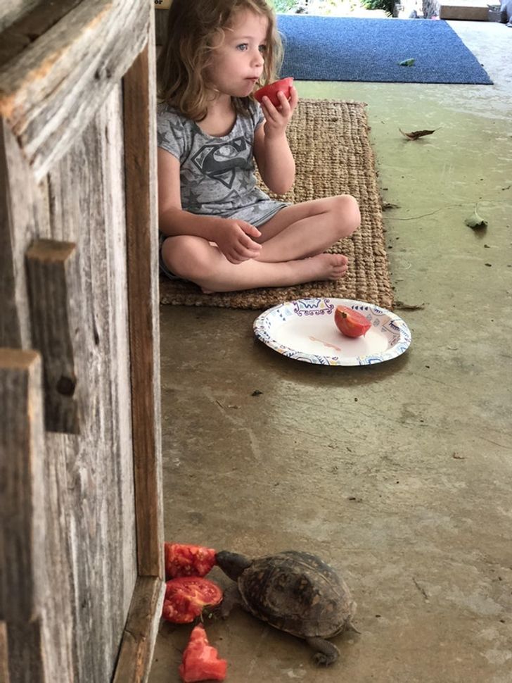 59854352618f748b182e110334