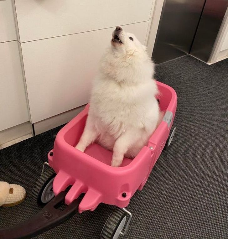 59868058b6adba3a400c5b6ec8