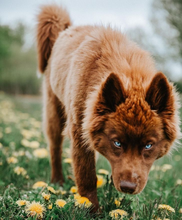 59894d5d0c95107caf19551bf8