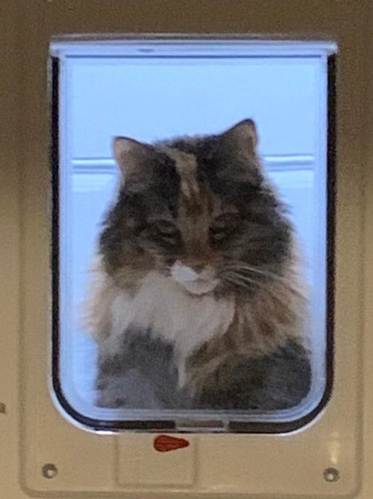 5992115559b1b59447b267585e